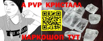 гашик Малгобек