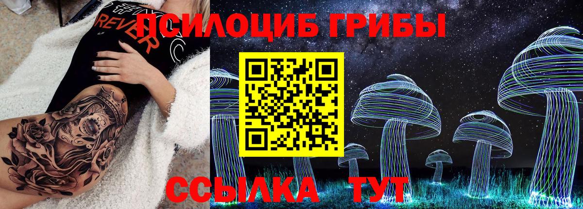 Псилоцибиновые грибы Psilocybine cubensis Усть-Илимск