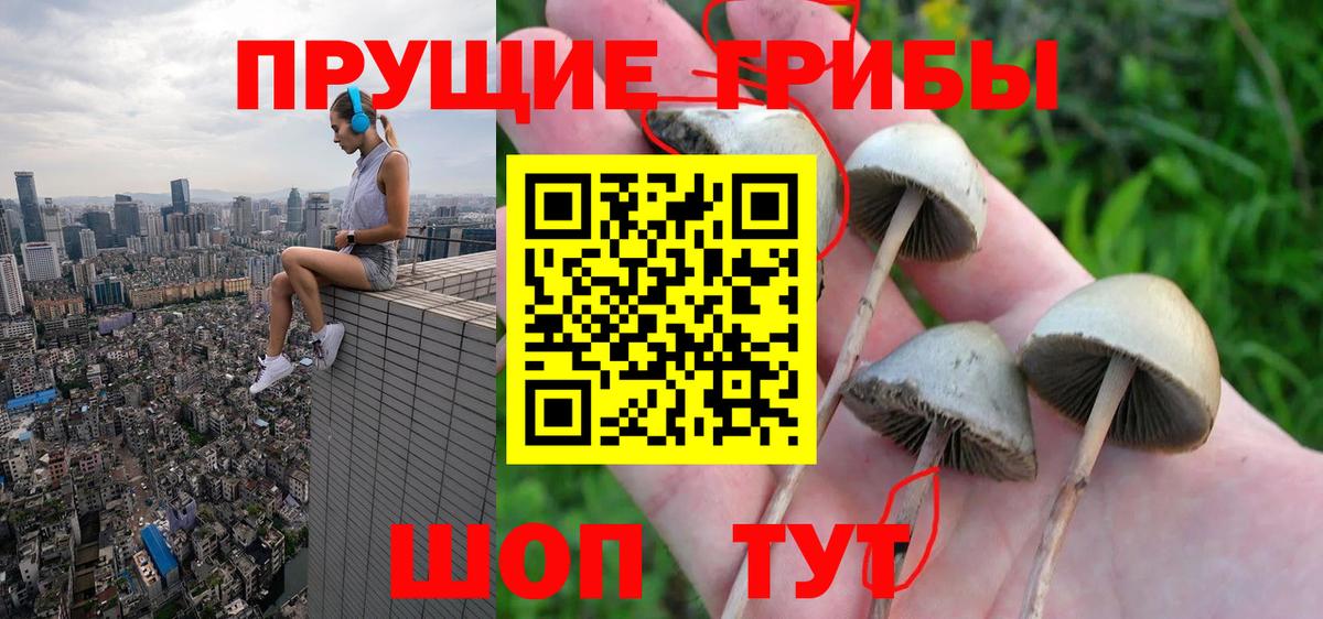 Усть-Илимск  Галлюциногенные грибы ЛСД  Вход с VPN 